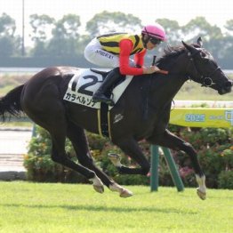 【武田の土曜競馬コラム・フラワーＣ】