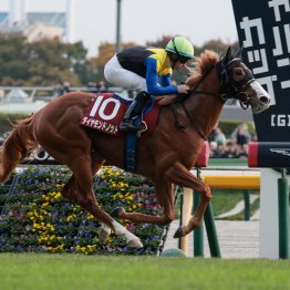 【中京本紙・勝羽のファルコンＳ】