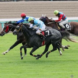 【東京本紙・外山の土曜中山８Ｒ】