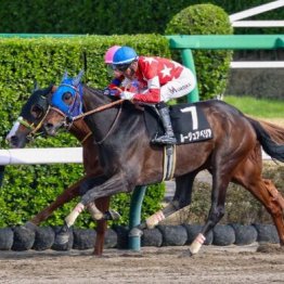【東京本紙・外山の土曜中山10Ｒ】