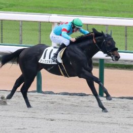 【東京本紙・外山の土曜中山12Ｒ】