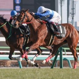 【東京本紙・外山のフラワーＣ】