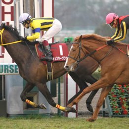 2012年阪神大賞典制覇ギュスターヴクライ　