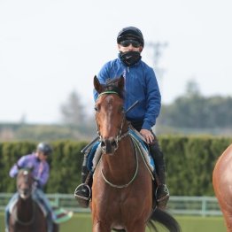【市川の日曜競馬コラム・阪神大賞典】