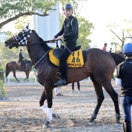 【木津の日曜競馬コラム・中京２Ｒ】