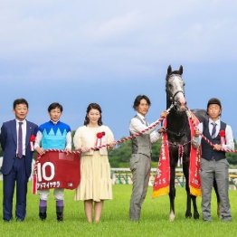 【武田の日曜競馬コラム・阪神大賞典】