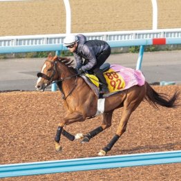 【橘の日曜競馬コラム・愛知杯】