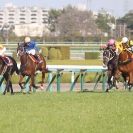 【注目重賞／データで買う・阪神大賞典】