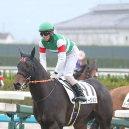 【東京本紙・外山の日曜中山９Ｒ】