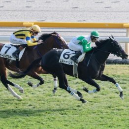 【東京本紙・外山の日曜中山10Ｒ】