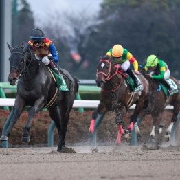 【東京本紙・外山の日曜中山11Ｒ】