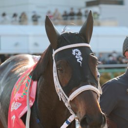 持続力勝負でアドマイヤテラがレコード完勝