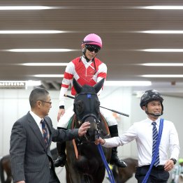 持続力勝負でアドマイヤテラがレコード完勝