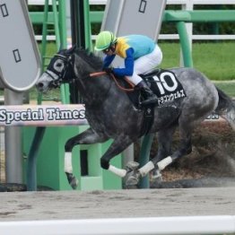 【千葉Ｓ】ドラゴンウェルズ連勝