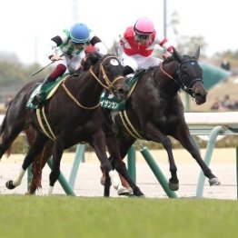 【愛知杯】レース後の談話