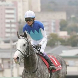 【阪神大賞典】レース後の談話（ネットオリジナルを含む）