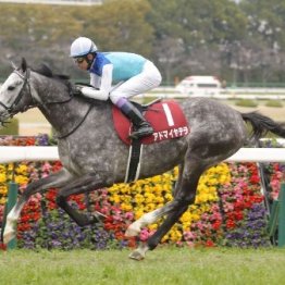 【阪神大賞典】アドマイヤテラ圧巻のレコード勝ち