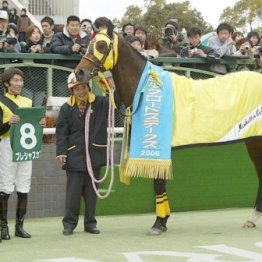 高松宮記念は０５年に悔しい思いをしたレース　プレシャスカフェが教えてくれた教訓