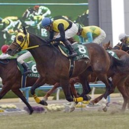 高松宮記念は０５年に悔しい思いをしたレース　プレシャスカフェが教えてくれた教訓