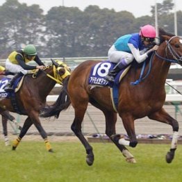 高松宮記念は０５年に悔しい思いをしたレース　プレシャスカフェが教えてくれた教訓