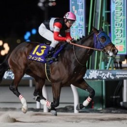 【京浜盃】前２走が強い勝ちっぷりフィンガーでもう一丁だ