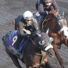【高松宮記念】ナムラクレア今年こそ