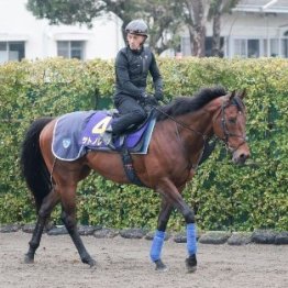 【高松宮記念】サトノレーヴ連覇へ万全