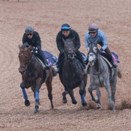 【高松宮記念】調教マル得チェック③