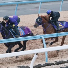 【高松宮記念】調教マル得チェック③