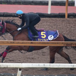 【高松宮記念】調教マル得チェック②