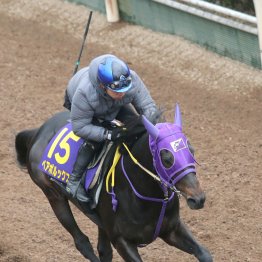 【高松宮記念】調教マル得チェック①