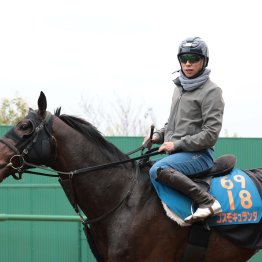 【日経賞】有馬記念で波乱を呼んだコスモキュランダの今年初戦