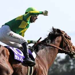 【高松宮記念】混戦を読み解く３つのポイント