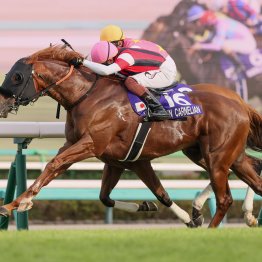 【高松宮記念】混戦を読み解く３つのポイント