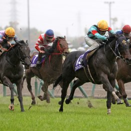 【高松宮記念】データ作戦　シルクロードＳ組を要チェック