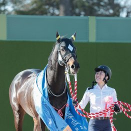 【高松宮記念】昨年最下位から先頭ゴールへ　ペアポルックス末脚炸裂
