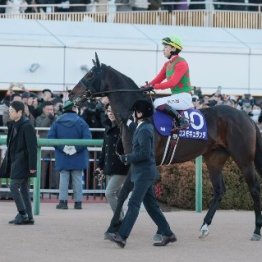 【市川の土曜競馬コラム・日経賞】	