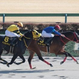 【飯島の土曜競馬コラム・伏竜Ｓ】