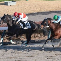 【新居の土曜競馬コラム・ブラッドストーンＳ】
