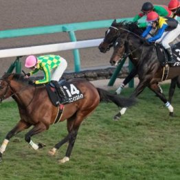 【武田の土曜競馬コラム・日経賞】