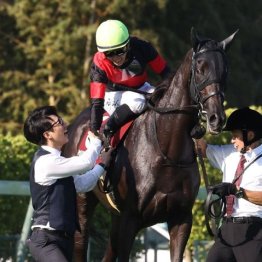 【橘の土曜競馬コラム・日経賞】