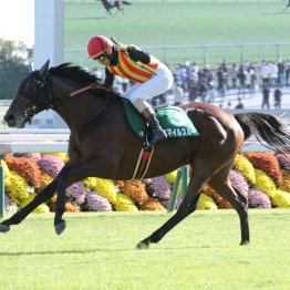 【大阪本紙・弘中の土曜阪神８Ｒ】