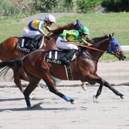 【東京本紙・外山の土曜中山９Ｒ】