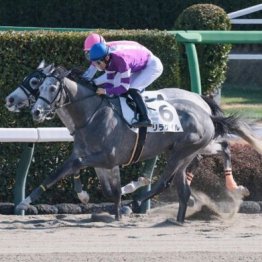 【東京本紙・外山の土曜中山12Ｒ】