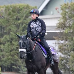 【高松宮記念】出走全馬の特選情報