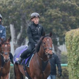 【高松宮記念】出走全馬の特選情報