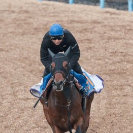 【飯島の日曜競馬コラム・マーチＳ】