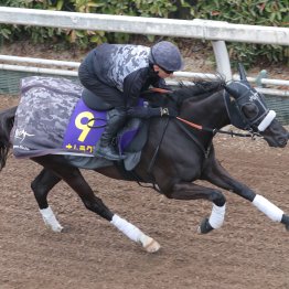 【注目重賞／追い切りで買う・高松宮記念】