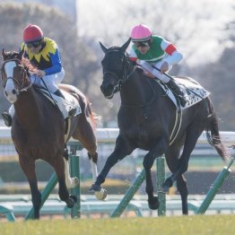 【東京本紙・外山の日曜中山９Ｒ】