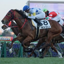 【東京本紙・外山の日曜中山10Ｒ】